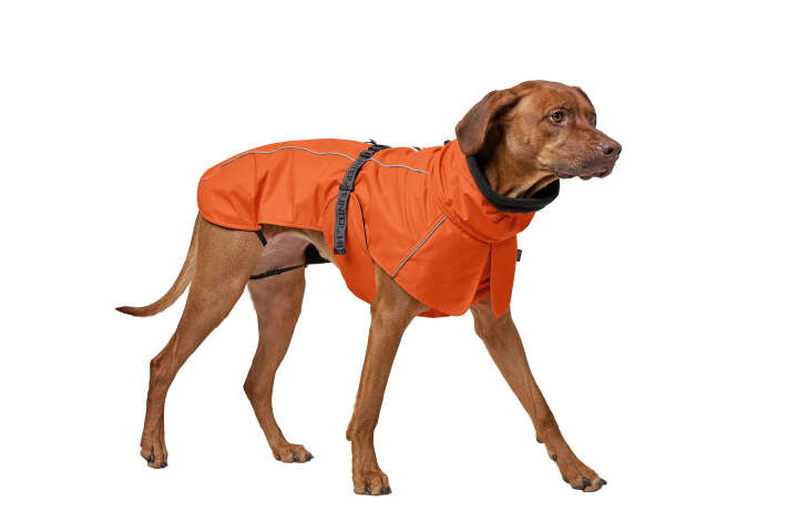 HUNTER Hundemantel Nordby